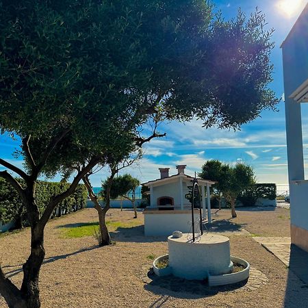 Edo House Anzio - Beachfront - Fronte Mare - Affittacamere Екстер'єр фото