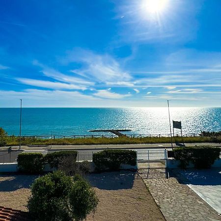 Edo House Anzio - Beachfront - Fronte Mare - Affittacamere Екстер'єр фото