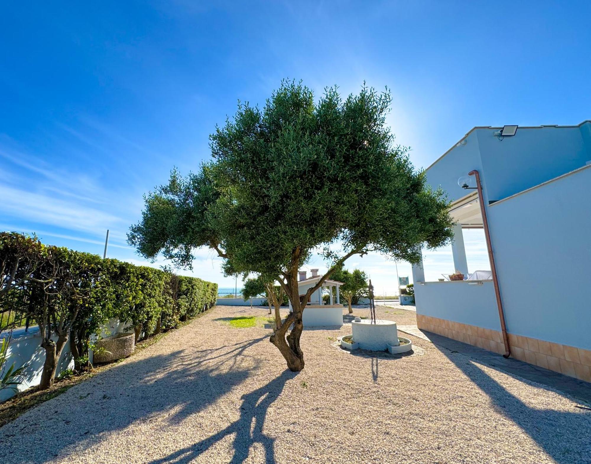 Edo House Anzio - Beachfront - Fronte Mare - Affittacamere Екстер'єр фото